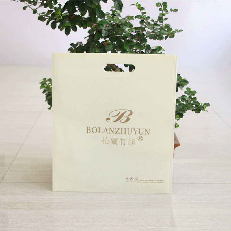 一次成型無紡布手提袋