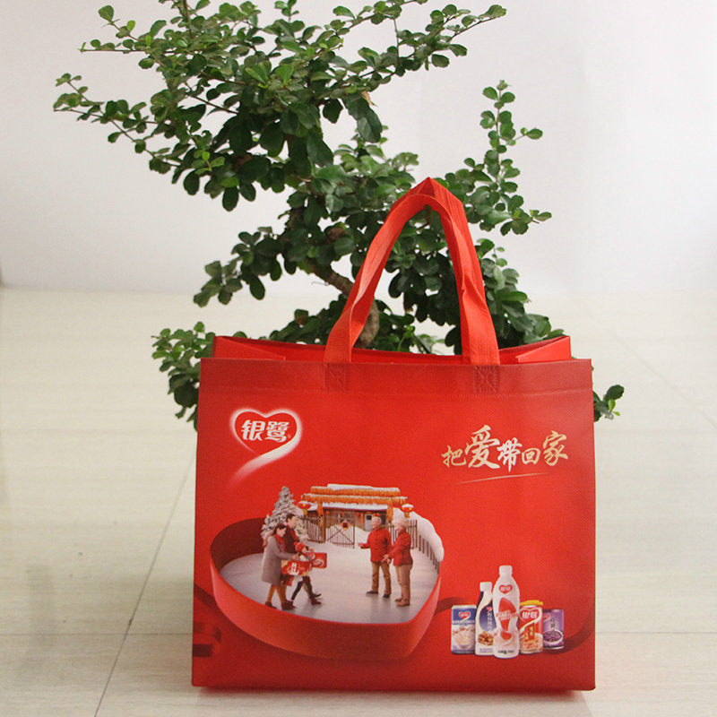 一次成型無紡布手提袋